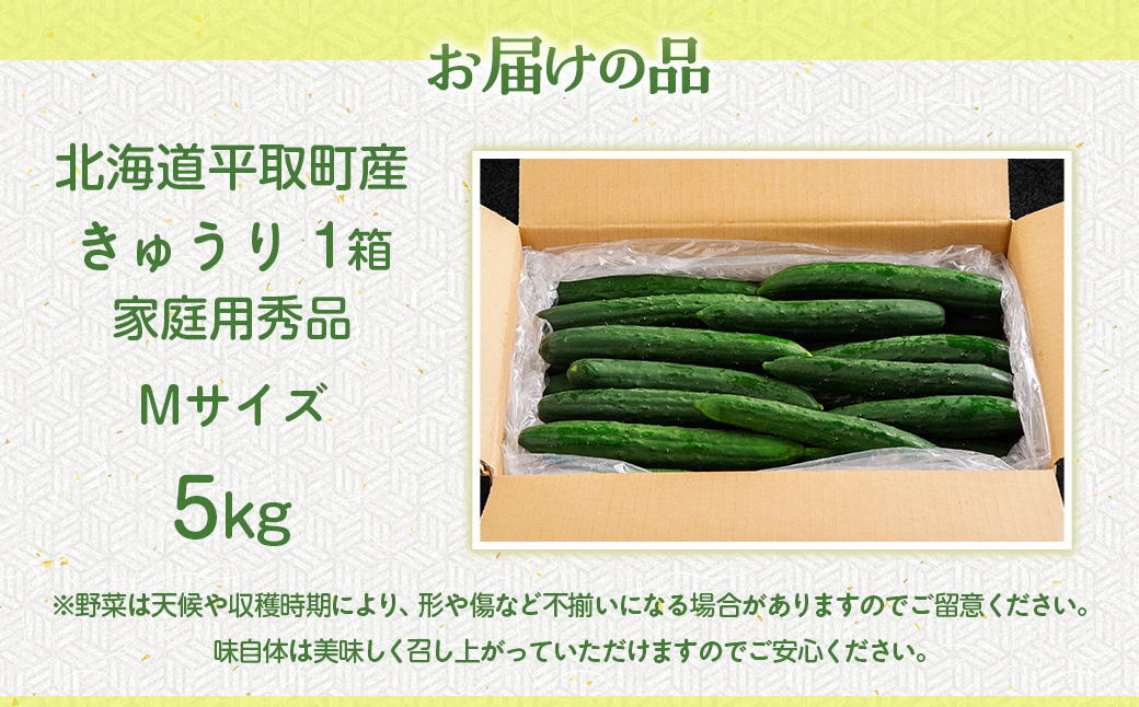 【先行予約/8月以降発送】【家庭用】【北海道平取町産】秀品 キュウリ１箱Мサイズ５kg BRTO004