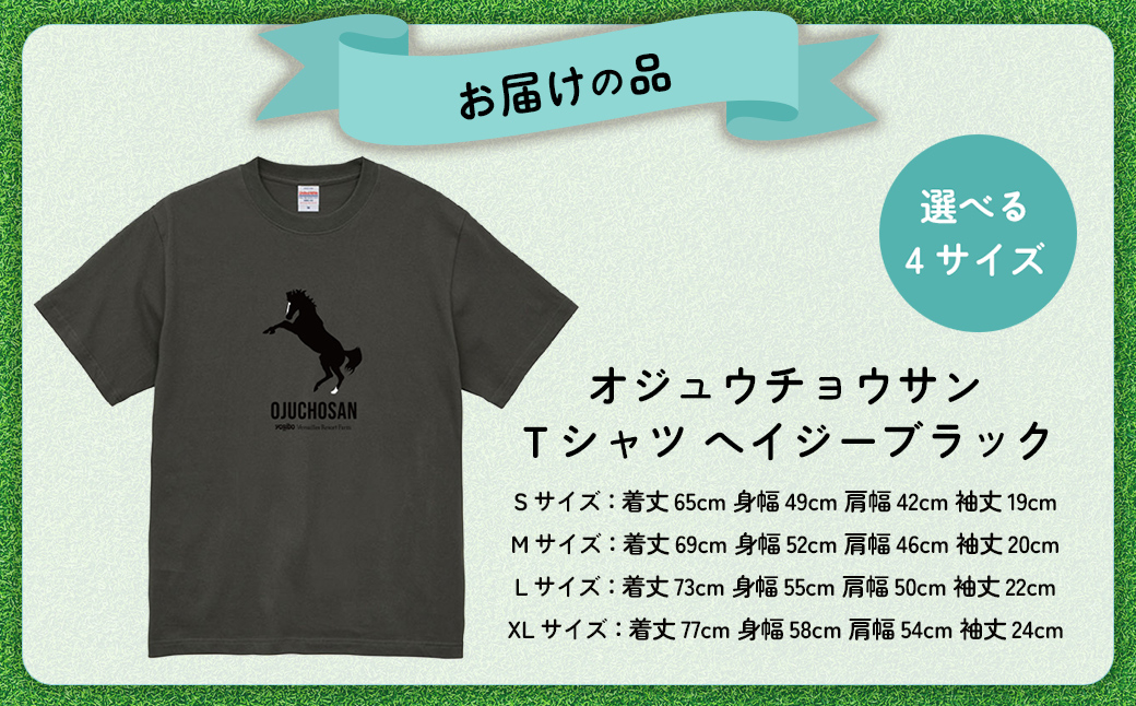 【オジュウチョウサン】Ｔシャツ _Lサイズ（ヘイジーブラック） BRTV004-3
