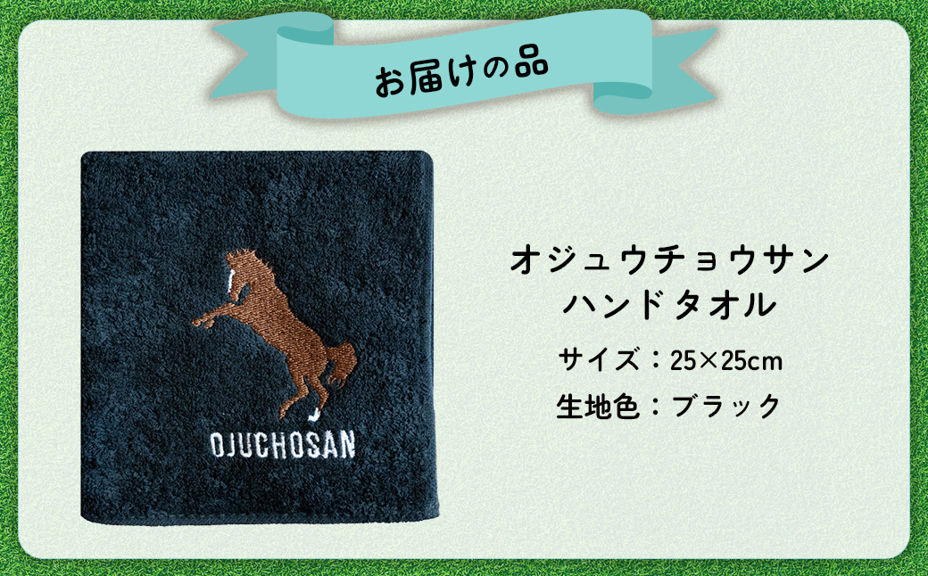 【オジュウチョウサン】ハンドタオル BRTV008