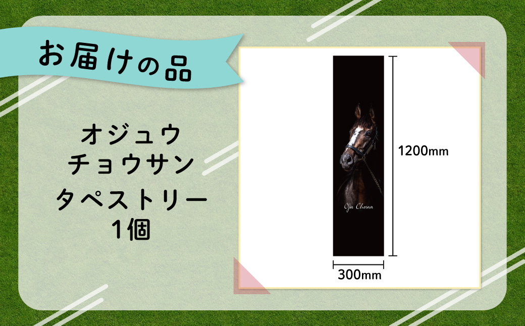 【オジュウチョウサン】タペストリー BRTV016