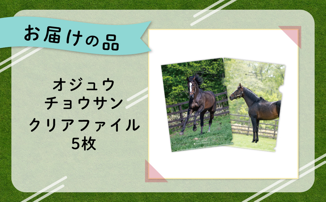 【オジュウチョウサン】クリアファイル（写真）5枚入り BRTV019