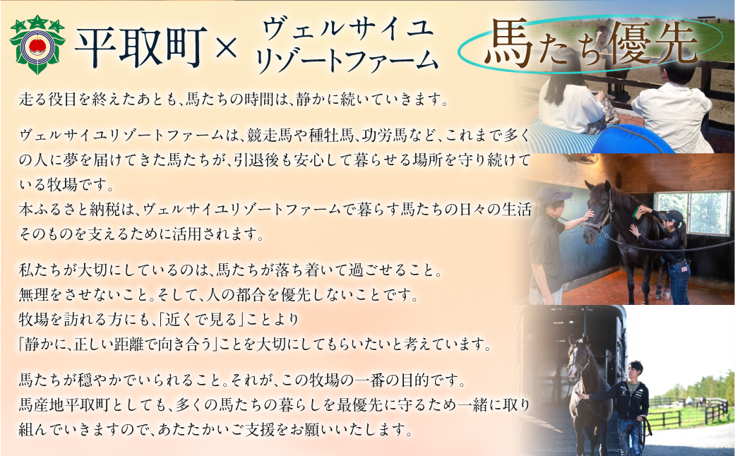 【1000万円コース 返礼品無し】より多くの引退馬の幸せな余生を願う　Yogiboヴェルサイユリゾートファーム BRTV024-07