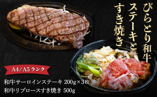 【12/24まで年内発送】【A4/A5ランク黒毛和牛】びらとり和牛ステーキとすき焼きセット　オリジナルタレ付き BRTB024