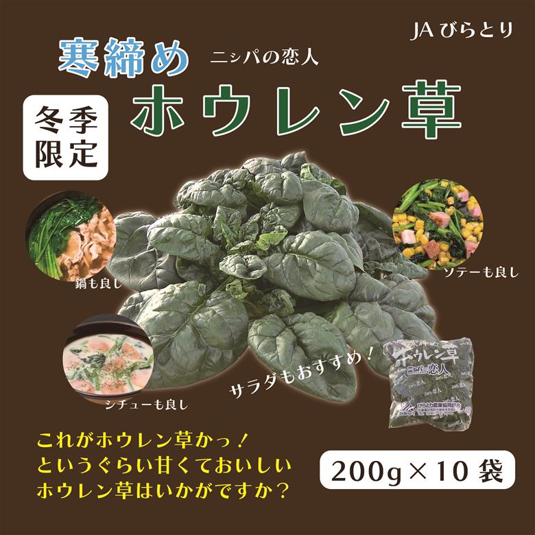 【北海道平取町産】寒締めホウレン草（ちぢみほうれん草）200g×10袋 BRTO003