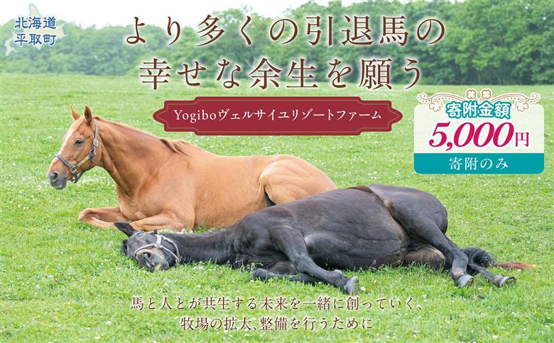 【5千円コース 返礼品無し】より多くの引退馬の幸せな余生を願う　Yogiboヴェルサイユリゾートファーム BRTV024-02