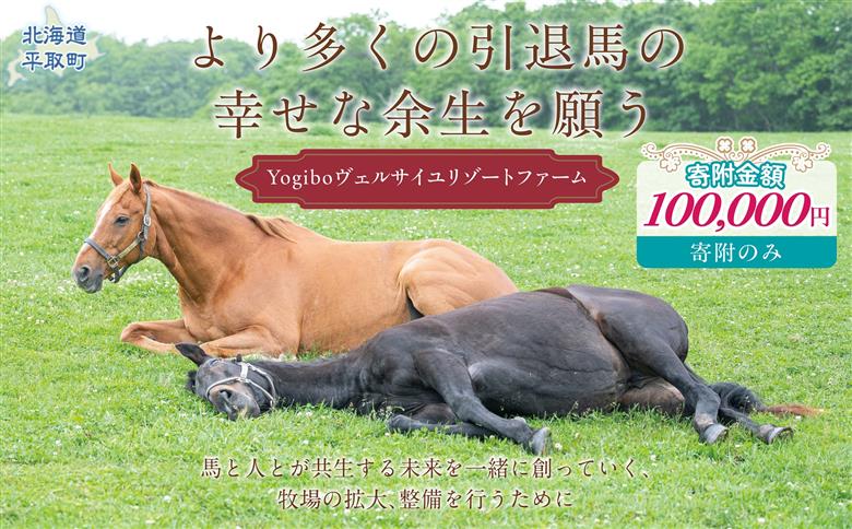 【10万円コース 返礼品無し】より多くの引退馬の幸せな余生を願う　Yogiboヴェルサイユリゾートファーム BRTV024-05