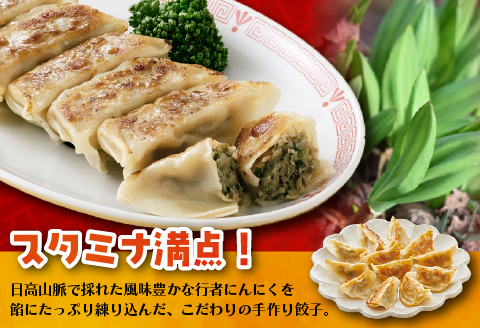 行者にんにく餃子(20個x3袋)[04-617]