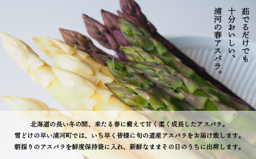 【4月上旬頃より発送！】北海道浦河産 ホワイト＆パープル極太セット(1kg)[03-1437]