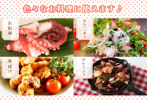 北海道浦河町産 浜ゆでたこ 合計1kg[06-1589]