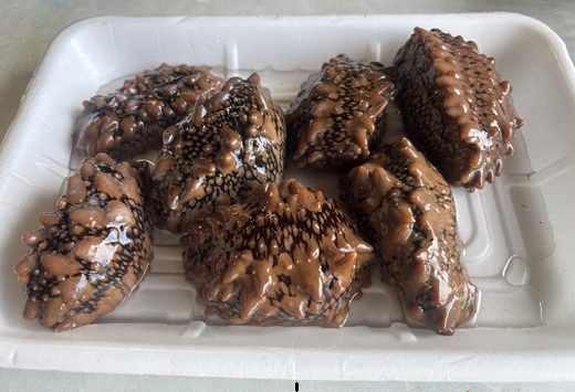 北海道浦河産『活なまこ』1kg※不在日・日付指定対応不可※[06-1591]