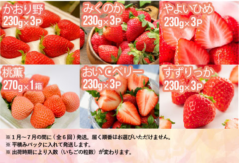 【来年1月より発送！】全6品種が届く！生いちご定期便(全6回)[13-1130]