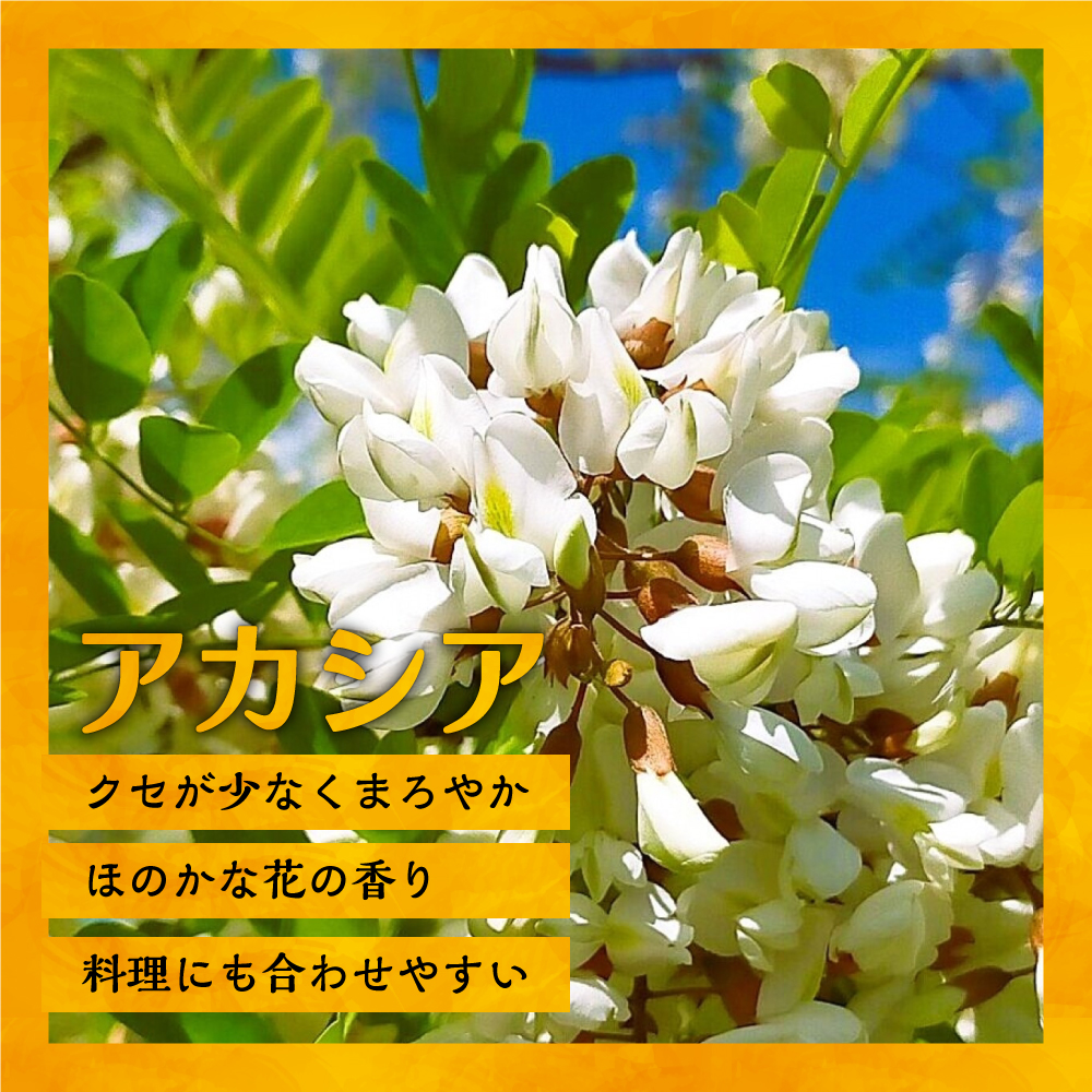 国産純粋完熟はちみつ小瓶セット(アカシア・黄金草・菩提樹)[16-1001]