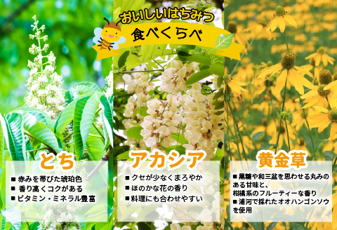 国産純粋完熟はちみつ3種セット(とち・アカシア・黄金草)ご家庭用計1.5kg[16-1053]