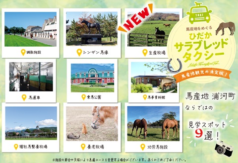 馬産地をめぐる「ひだかサラブレッドタクシー」3時間(1,2名様)コース[41-1102]