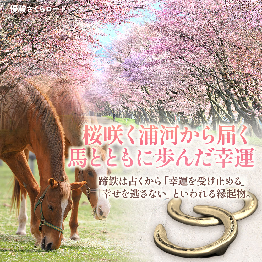 北海道浦河町産『蹄鉄アレンジメント』[50-1576]