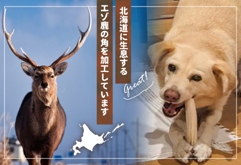 犬用「鹿の角(半割り)」Ｓサイズ×4本[53-1598]