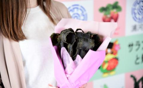 昆布の花束 浦河喜コンブーケ(ミニ)50cmx10本[23-555]