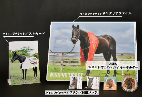 優駿ビレッジAERU G1馬｢ウイニングチケット｣オリジナルグッズ(計6個)[07-1083]