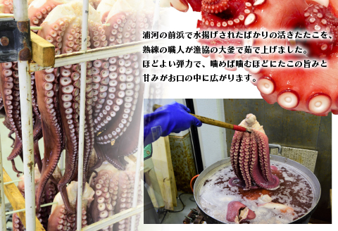 漁協直送！浦河前浜産 活ゆでたこ足（足800g）[02-525]