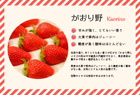 【先行受付開始！】北海道浦河産いちご「かおり野」230g×3P[13-113]