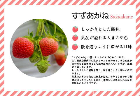 【先行予約受付中】北海道浦河産 夏いちご 「すずあかね」230g×3P[13-150]