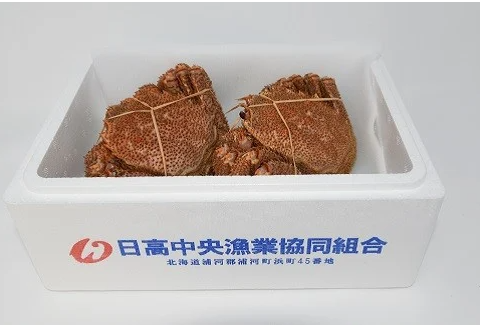 ＜冷凍＞漁協の浜ゆで毛がに 中サイズ2尾セット[02-771]