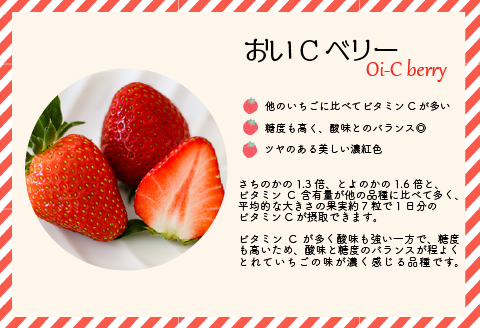 【先行受付開始！】北海道浦河産いちご「おいCベリー」230g×3P[13-1127]