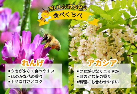 国産純粋完熟はちみつ大瓶セット(れんげ・アカシア)580g×2本[16-537]