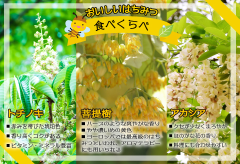国産純粋完熟はちみつ小瓶セット(アカシア・とち・菩提樹)[16-1001]