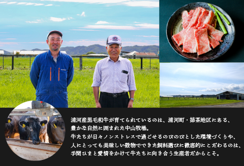 A4等級以上！「北海道浦河産黒毛和牛」4種食べ比べセット(計900g)[28-1150]