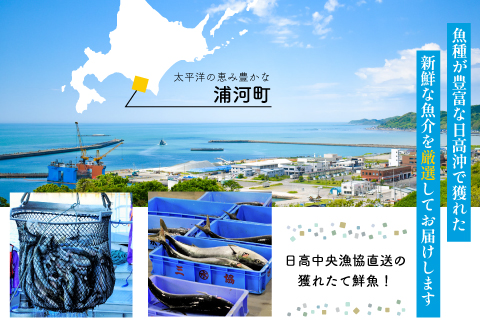 『キンキ入り』漁協厳選！鮮魚お楽しみBOX※不在日・日付指定対応不可※[02-830]