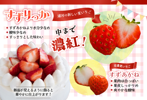 先行受付開始！】北海道浦河産 夏いちご 「すずりっか」230g×3P[13