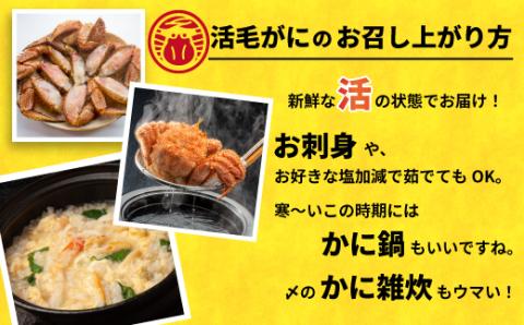 【先行受付開始！】漁協の活毛がに 小サイズ３尾セット※日付指定対応不可※[02-1206]