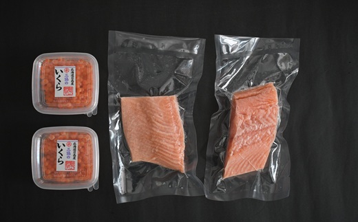 北海道日高産「塩いくら」＆「チェリーサーモン」刺身柵セット各2P[01-1544]