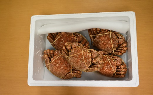 【先行受付開始！】漁協の浜ゆで毛がに 小サイズ５尾セット※日付指定対応不可※[02-1414]