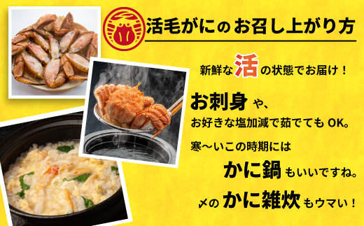 【先行受付開始！】漁協の活毛がに 小サイズ１尾※日付指定対応不可※[02-1419]