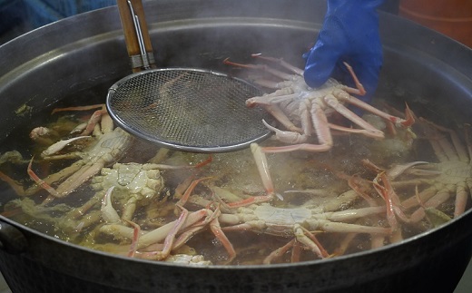 訳あり ゆでオオズワイガニ400g前後×16尾[02-1561]