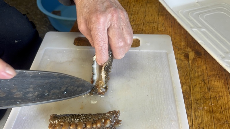 北海道浦河産『活なまこ』1kg※不在日・日付指定対応不可※[06-1591]