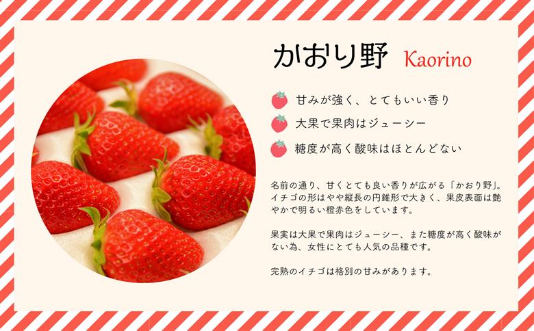 【令和9年1月～4月発送！】北海道浦河町産いちご食べ比べ定期便(全3回)[13-1629]