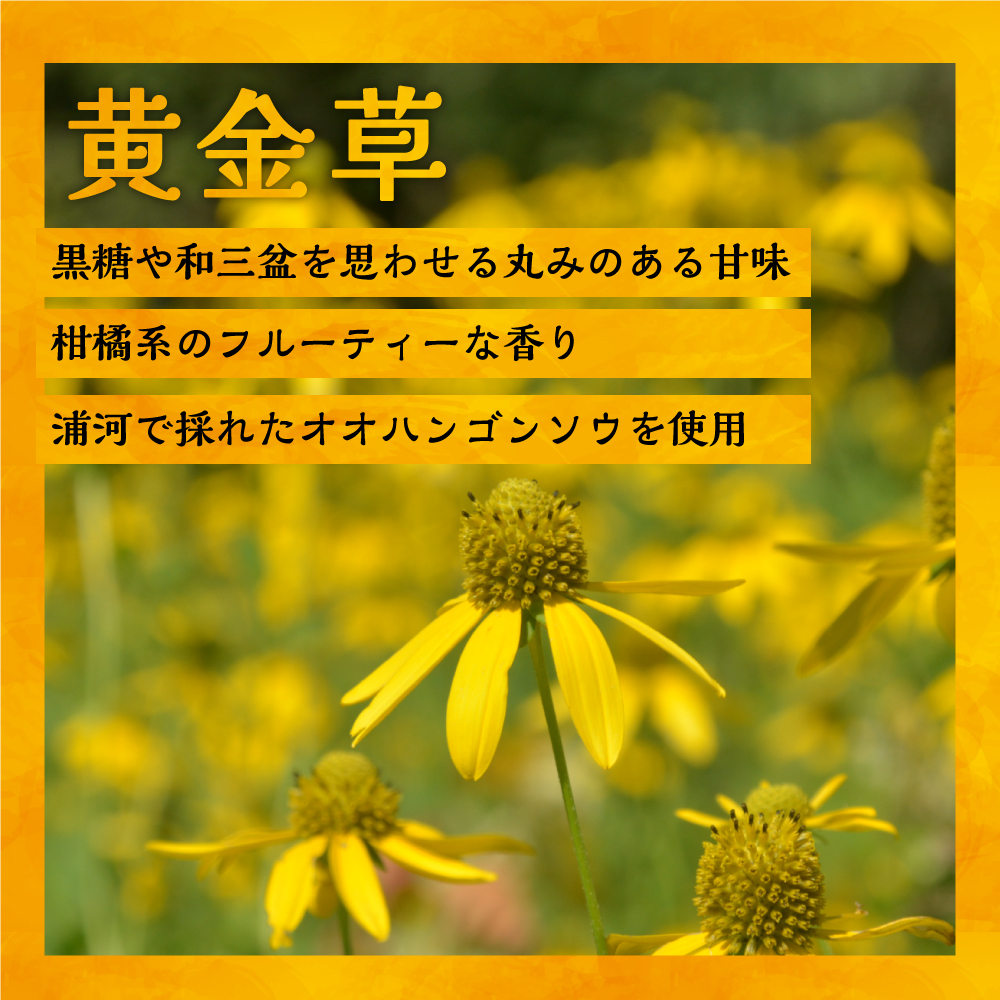 国産純粋完熟はちみつ大瓶セット(アカシア・黄金草)580g×2本[16-1658]
