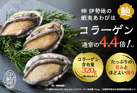 【12月発送！】活蝦夷あわび×3個[46-1345]