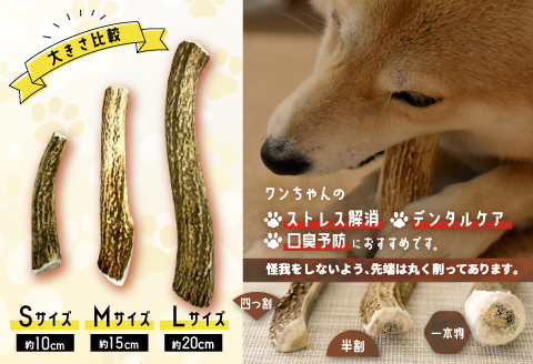 犬用「鹿の角(四つ割り)」Ｍサイズ×2本[53-1602]