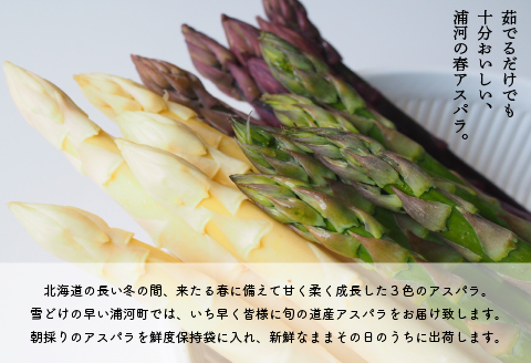 【4月上旬頃より発送！】北海道浦河産 アスパラガス3色食べ比べセット(1kg)[03-133]