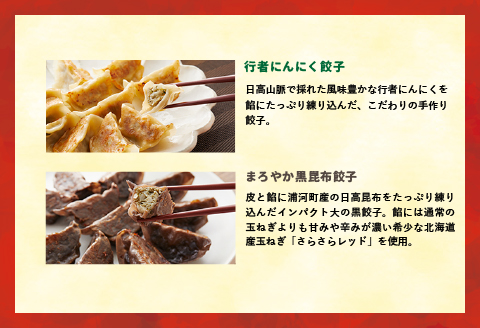 ラーメンまさご自慢の「浦河餃子」定期便(全5回)[04-1236]