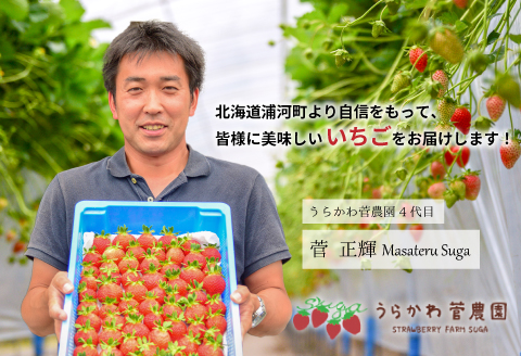 【先行予約受付中】北海道浦河産 夏いちご 「すずあかね」230g×3P[13-150]