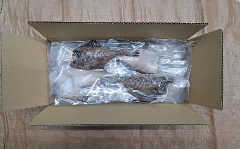 北海道日高産 宗八鰈一夜干し(計20枚)[25-1300]