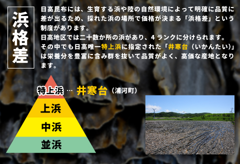 井寒台産　お徳用日高昆布(300g×2)と二等根昆布(200g×2)[34-1010]