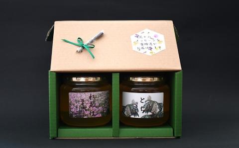 国産純粋完熟はちみつ大瓶セット(れんげ・とち)580g×2本[16-832]