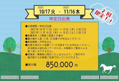 【ANA限定】馬・馬・馬尽くしの2泊3日『うま旅』ツアー[41-1318]