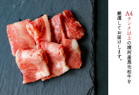 A4等級以上！「北海道浦河産黒毛和牛」4種食べ比べセット(計900g)[28-1150]